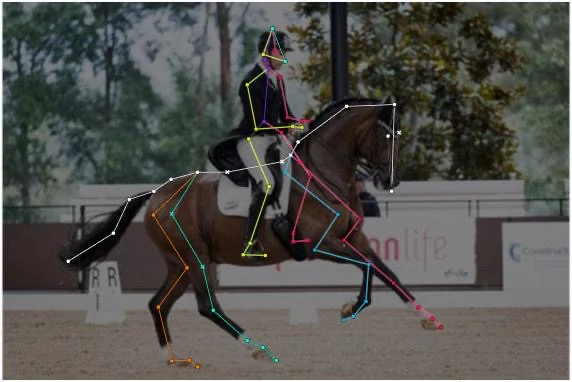 Horse and rider pose detection in Equicares